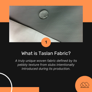 What is Taslan Fabric?