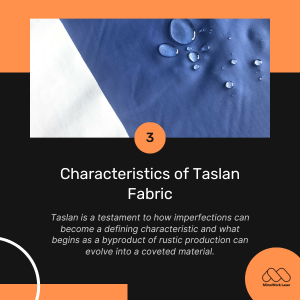Characteristics of Taslan Fabric